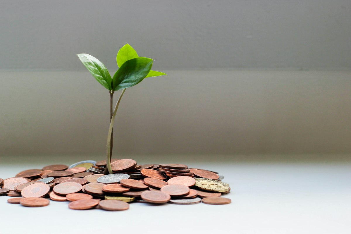 A young plant growing from a jar of coins