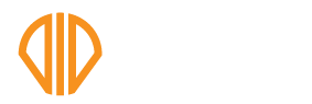 DIP — Dhivehi Investment Partners